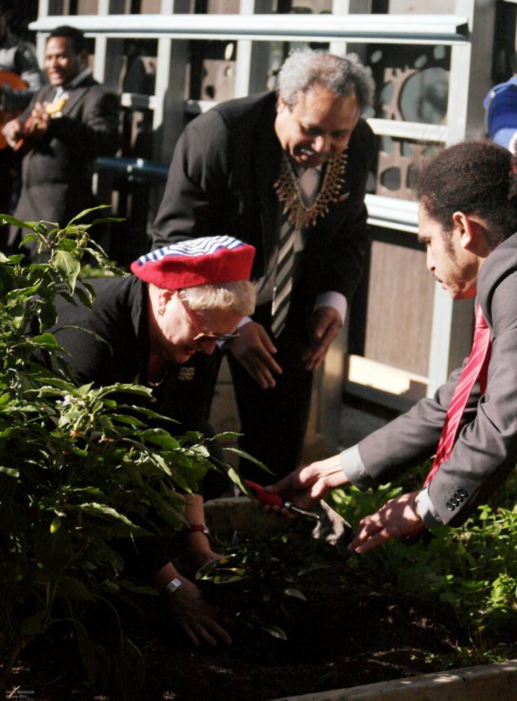 Luie Bains (Australian Greens, Carlton branch) planting the lime tree in the community garden at 838 Collins St, Docklands (with Jacob Rumbiak and Amos Wainggai) 