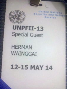 Herman, United Nations, May 2014